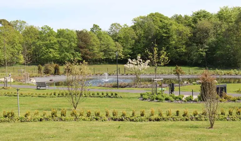 Parkmiljö med växtlighet och fontän