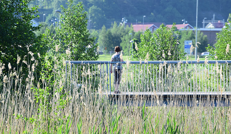 Baksidan av ett barn som står på en bro och tittar ut på grönskan.