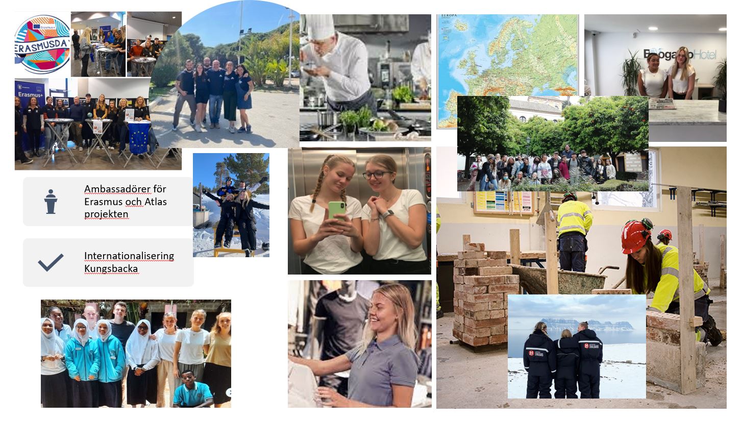 Collage med bilder från utlandspraktik