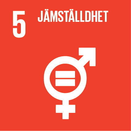 Ikon för FN:s globala mål Jämställdhet