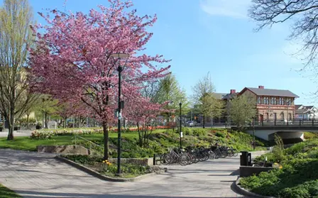 Bild som visar Badhusparken i Kungsbacka stad